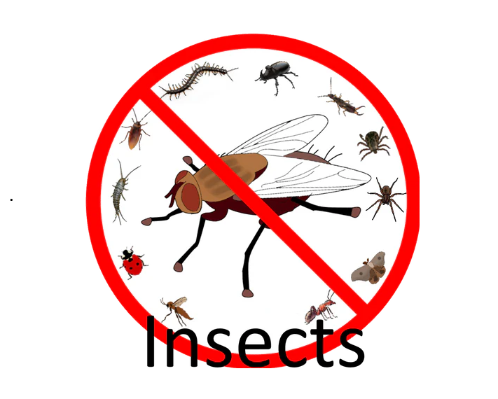 Fly electronic pest repeller