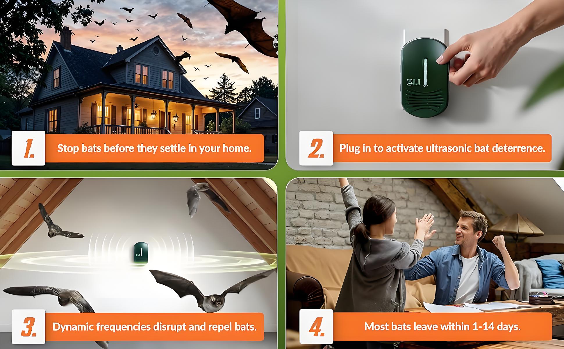 BugWomp-Bat-Expulsion-Four-Step