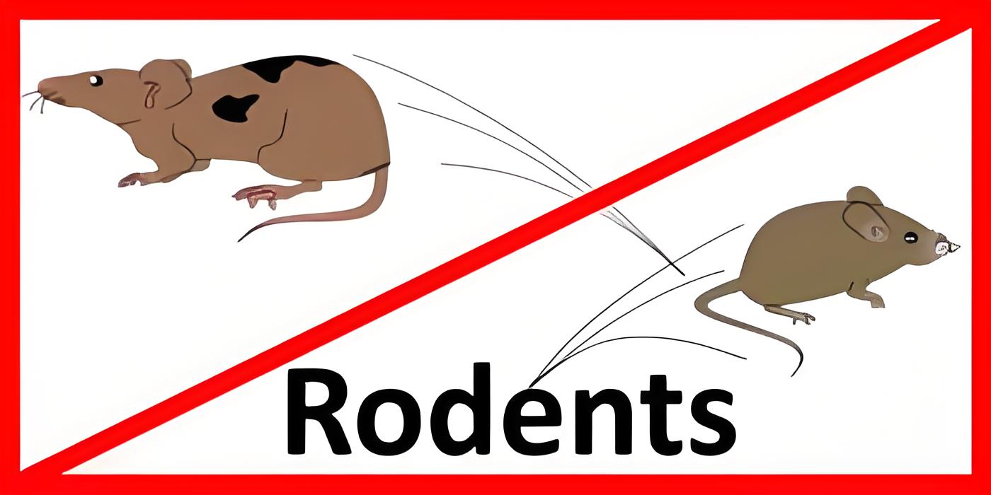 Elite Digital Pest Repeller