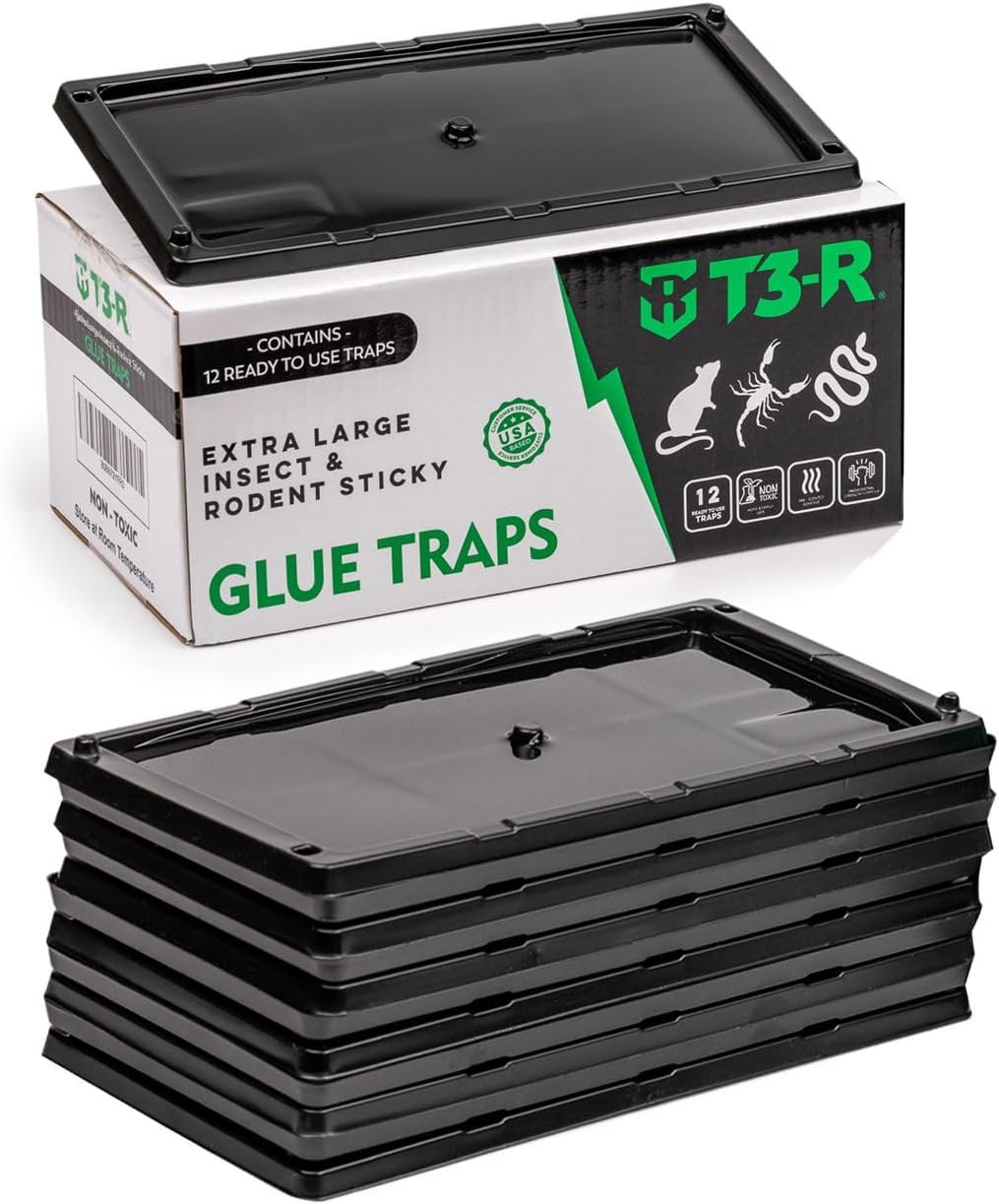 T3-R-Sticky-Mouse-Rodent-Traps-Extra-Large-1
