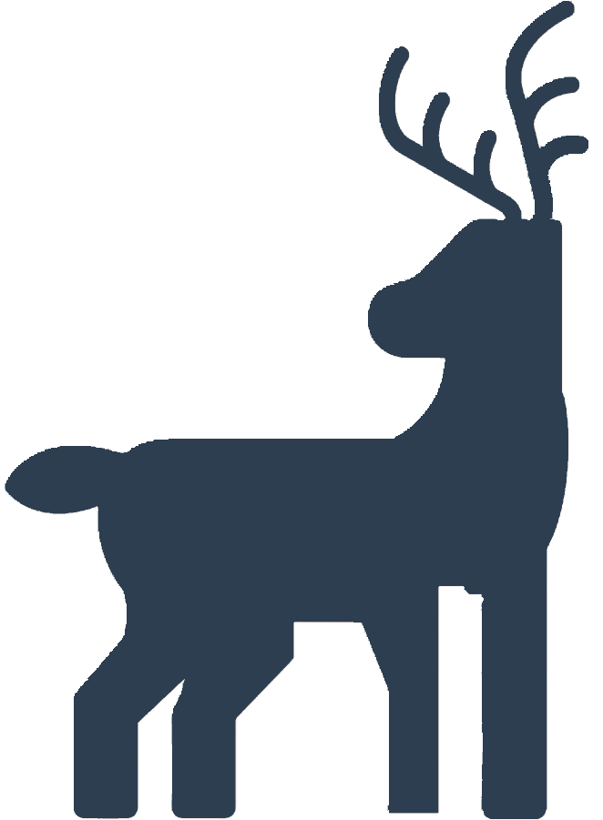 Animal Icon