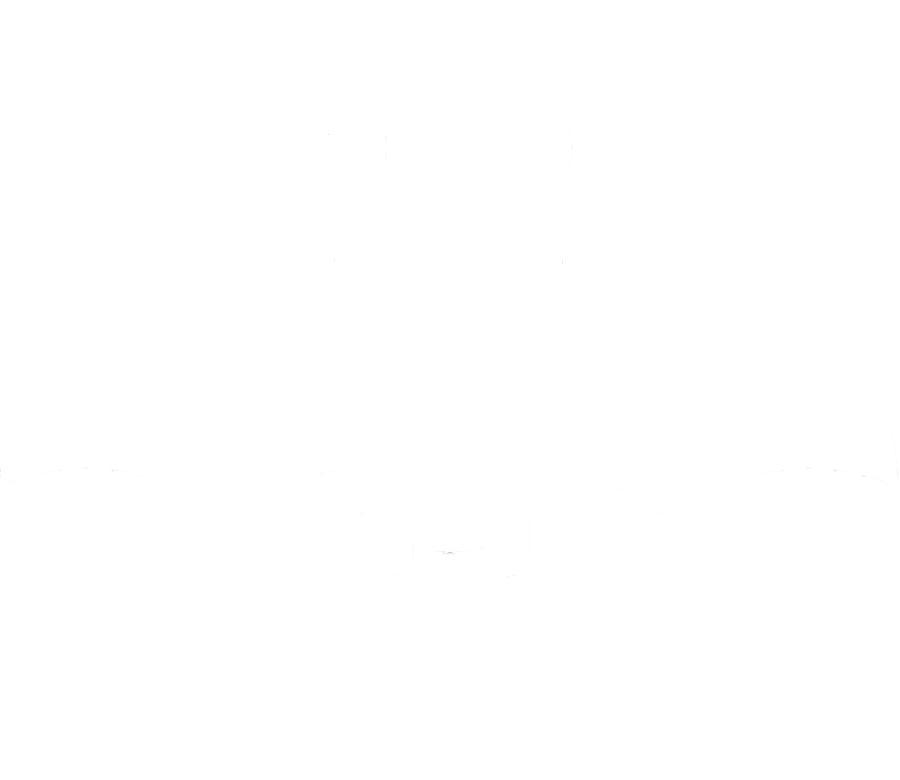 bat-icon