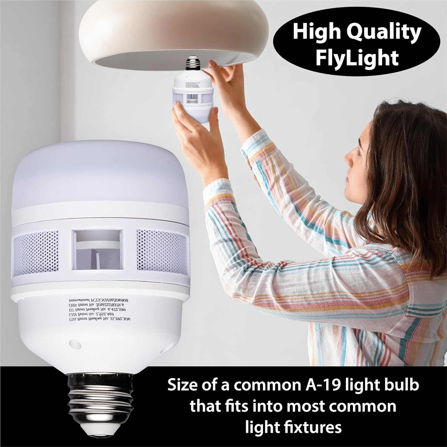 FlyLight Applications