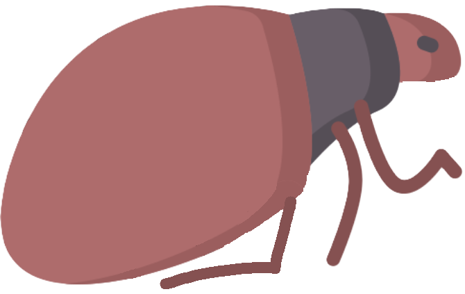Insect Icon