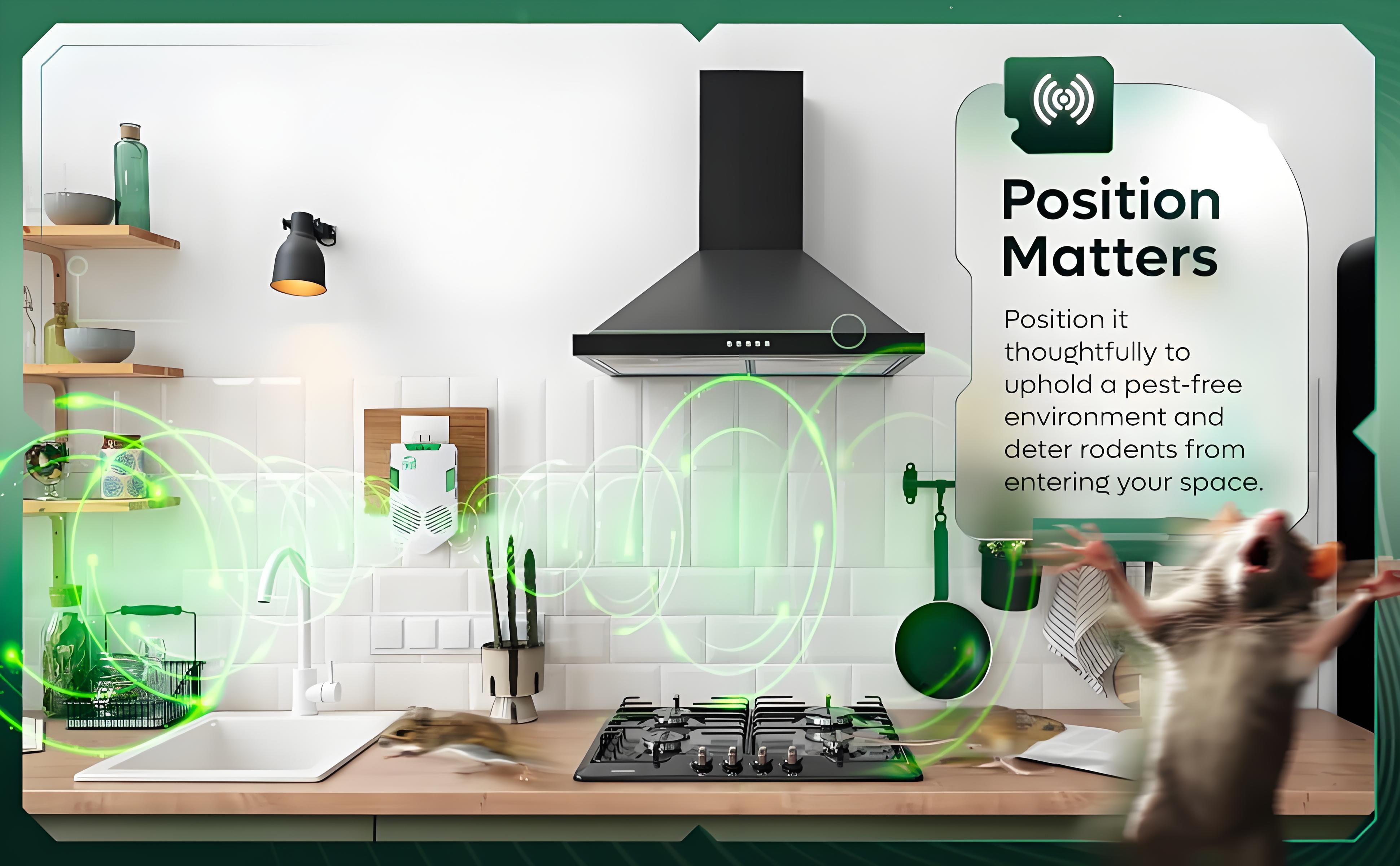 Indoor rodent repeller, outdoor rodent control