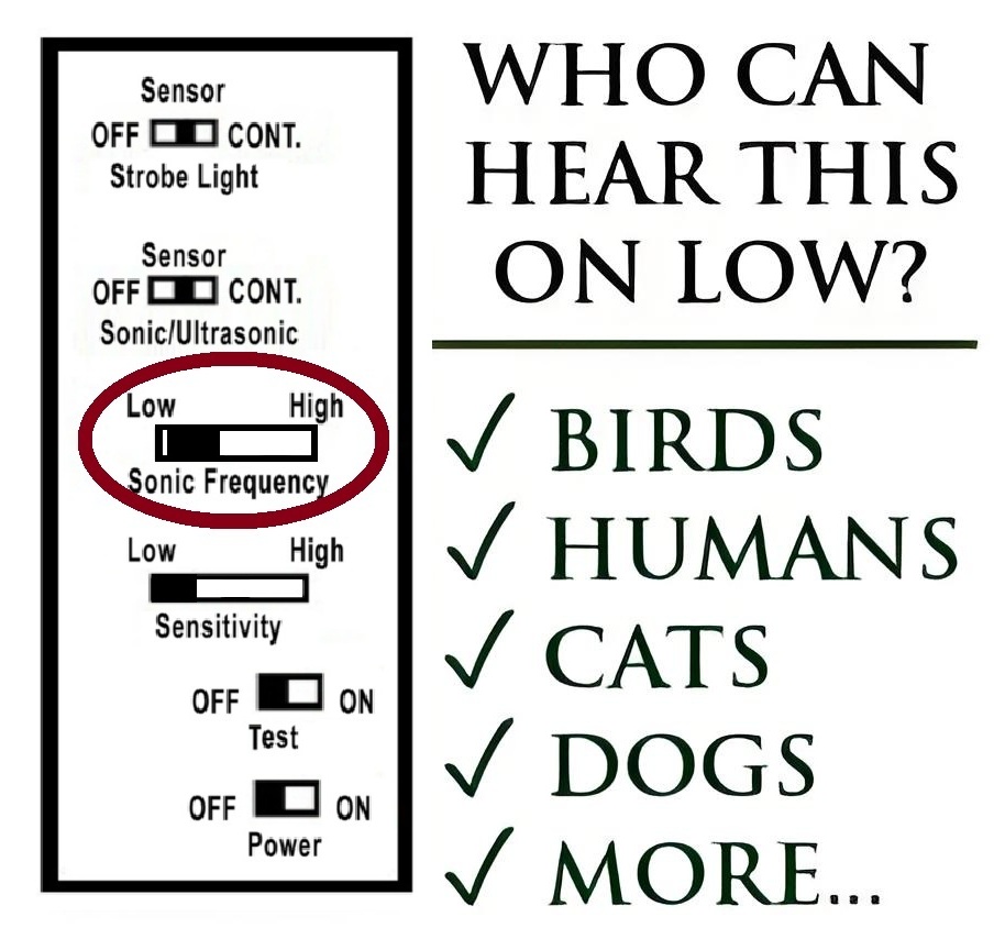 Birds can hear the low frequency